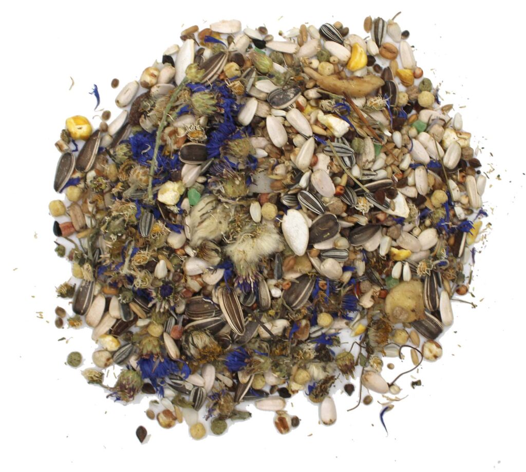 401716910118 Papgei detail