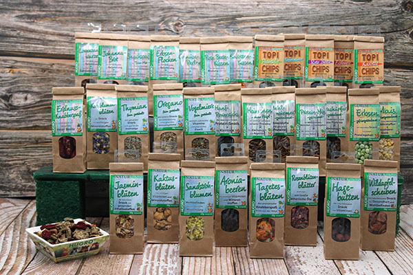 Reptilien 4 Minis komplett