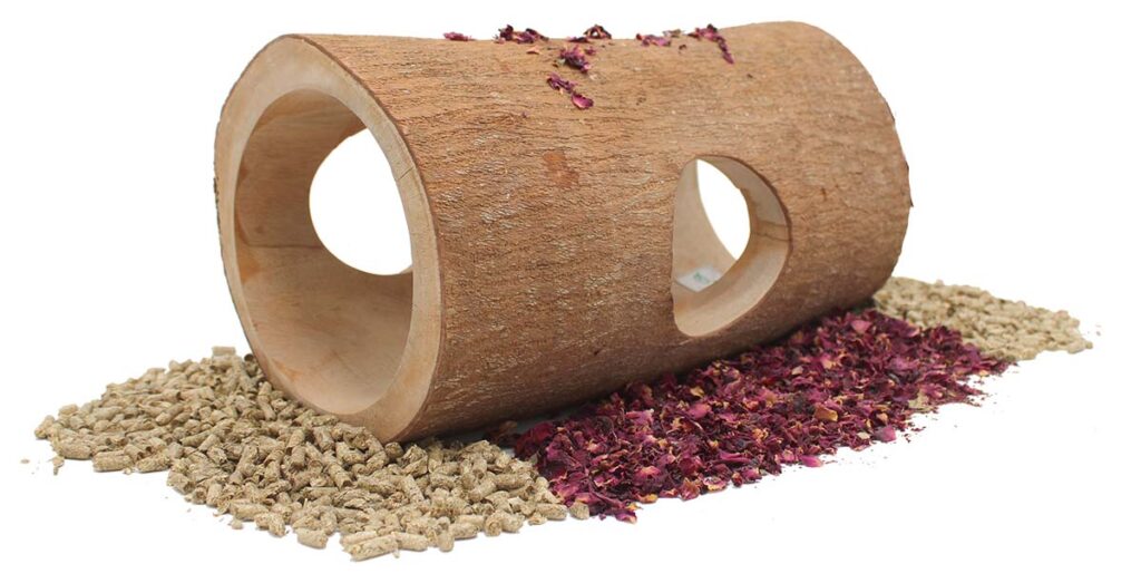 Reptilien 3 suharto shop2