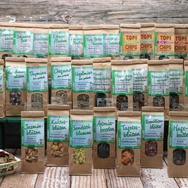 Minis komplett1 e1706631913987