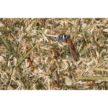 Abenteuer Protein Abenteuer Protein