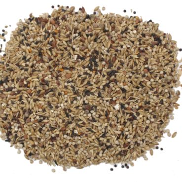 4017169101024_Kanarienfutter GL_detail GL 18 Saaten - Kanarienfutter