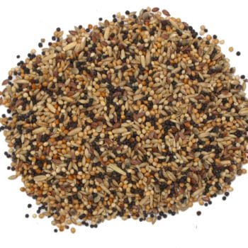 4017169101062_Volierenmischung_detail BC Kanarienfutter Basismischung 2100gr