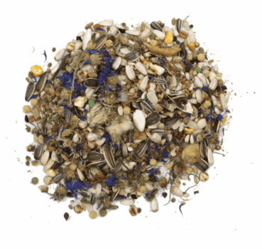 4017169101185_Papgei_detail