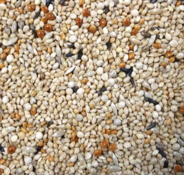 4017169102137_detail BC Exotenfutter "Spezial"