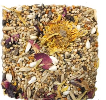 Großsittichfutter BirdCare Großsittichfutter Detailaufnahme