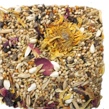 Großsittichfutter BirdCare Großsittichfutter Detailaufnahme