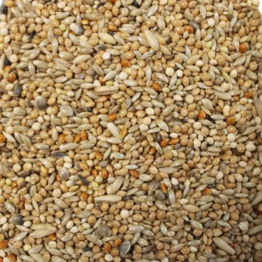 4017169102250_detail BC Kanarienfutter ohne Rübsen