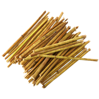 Nagertraum Topinamburstäbchen Nagertraum Topinamburstäbchen