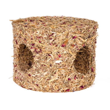 4017169110583 4017169110583