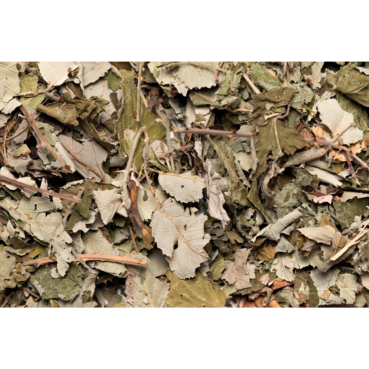 Nagertraum Brombeerblätter Nagertraum Brombeerblätter