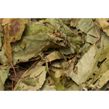 Nagertraum Kirschbaumblätter