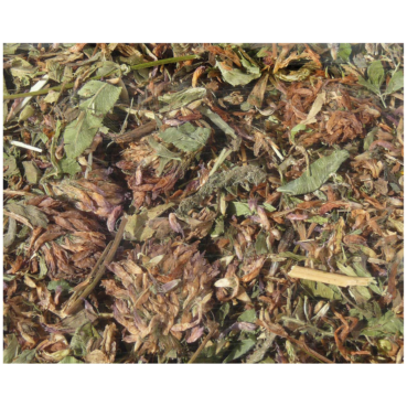 HUGRO Rotkleeblüten HUGRO Rotkleeblüten