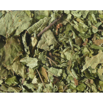 Nagertraum Haselnussblätter