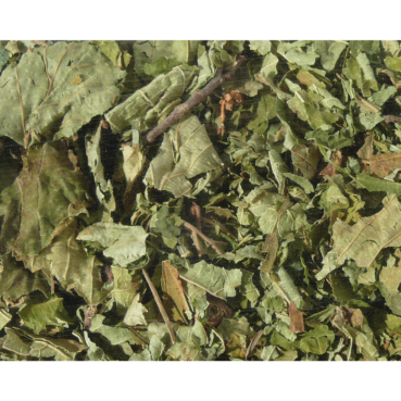 Nagertraum Haselnussblätter Nagertraum Haselnussblätter