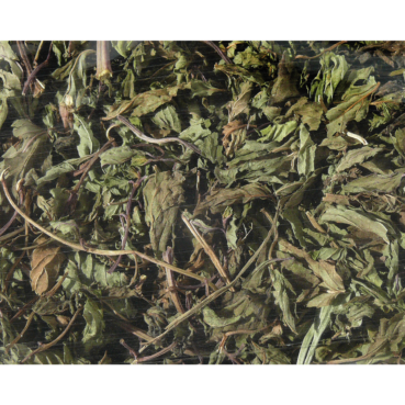 Nagertraum Pfefferminzblätter Nagertraum Pfefferminzblätter