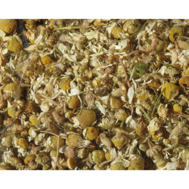 Nagertraum Kamilleblüten Nagertraum Kamilleblüten