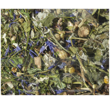 Nagertraum Kräutergarten Nagertraum Kräutergarten