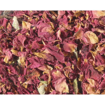 Nagertraum Rosenblütenblätter