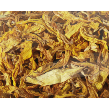 Nagertraum Sonnenblumen-Blütenblätter Nagertraum Sonnenblumen-Blütenblätter