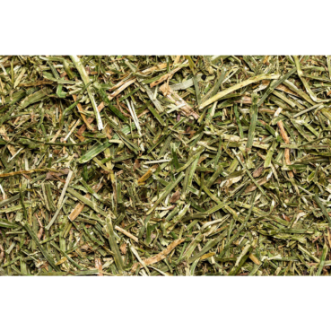 Nagertraum Luzerne Nagertraum Luzerne