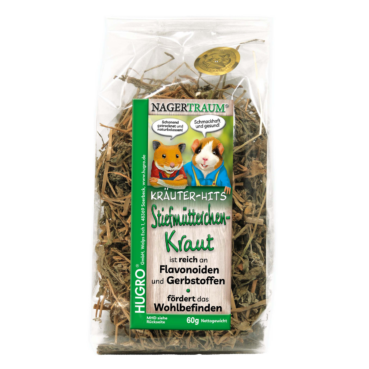 Nagertraum Stiefmütterchenkraut Nagertraum Stiefmütterchenkraut