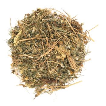 Nagertraum Vogelmiere