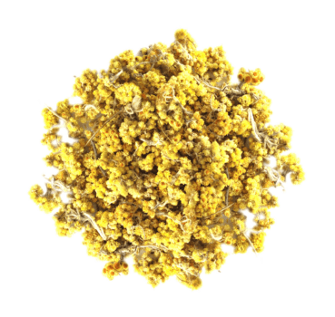 Nagertraum Sand-Strohblume Nagertraum Sand-Strohblume