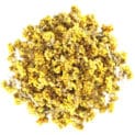 HM Sandstrohblumen