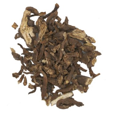 Löwenzahnwurzel Löwenzahnwurzel