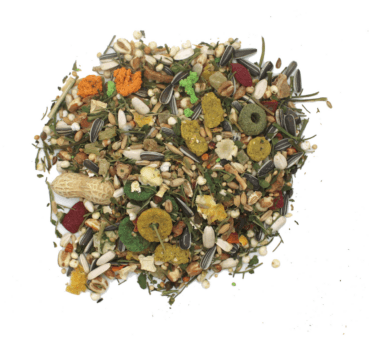 Exquisit grosse Hamsterarten Exquisit grosse Hamsterarten