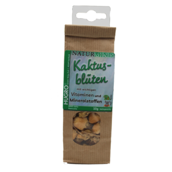 Kaktusblüten Minis