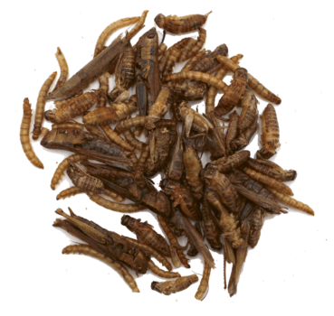 Protein-Mix Minis Protein-Mix Minis