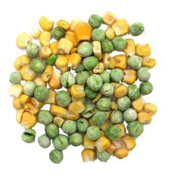 HUGRO® Gemüsegarten Erbsen und Mais