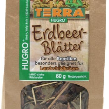 TH Erdbeerblätter