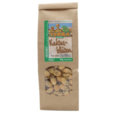 Kaktusblüten Kaktusblüten