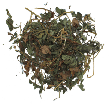 Topinamburblätter Topinamburblätter