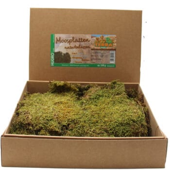 TerraHugro Moosplatten