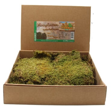 TerraHugro Moosplatten