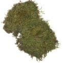 TerraHugro Moosplatten