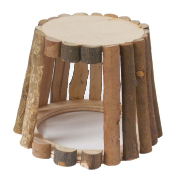 Auratus Camp Auratus Camp