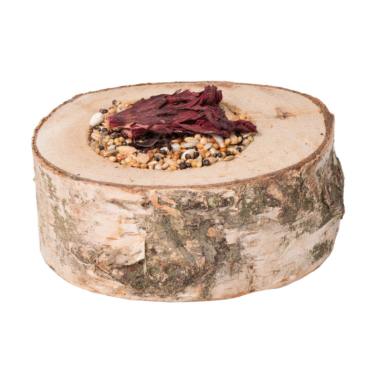 Knabberpizza Saaten Knabberpizza Saaten