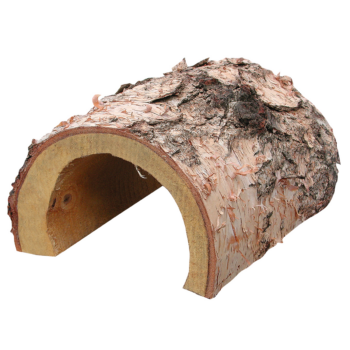 Arlbergtunnel 35 x 18 cm