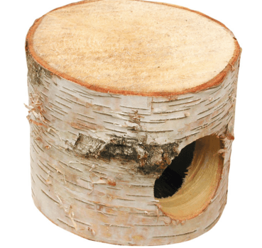 Auratus Cave , Höhle klein 13 x 11 cm