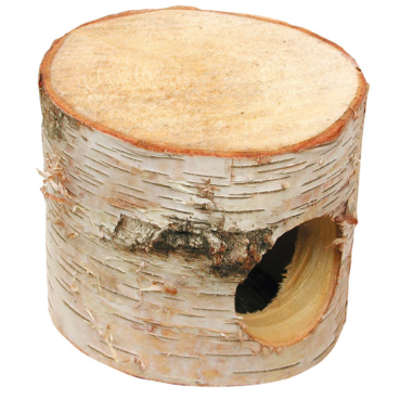 Auratus Cave , Höhle klein 13 x 11 cm