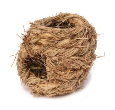 401716939200 401716939200