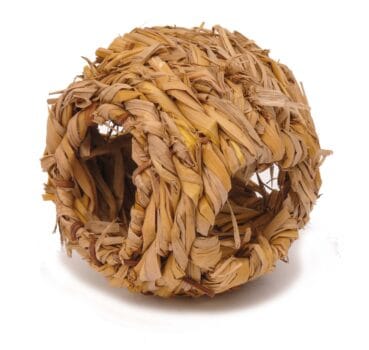 401716939204 401716939204