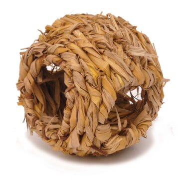 401716939204 401716939204