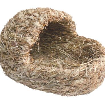 401716939214 401716939214