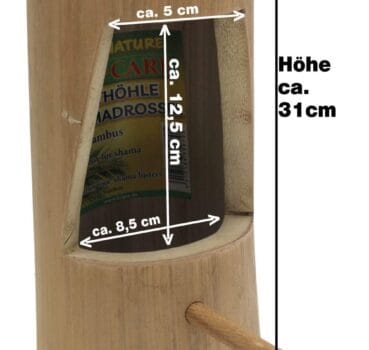 Schamadrossel Nisthöhle Schamadrossel Nisthöhle